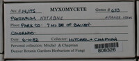 Image Associated With the Occurence